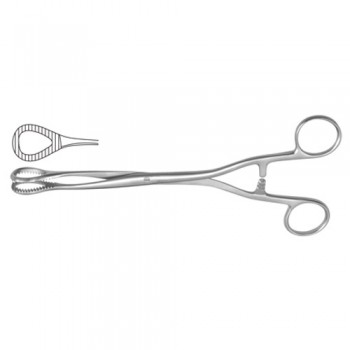 Heywood-Smith Sponge Holding Forcep Straight Stainless Steel, 20 cm - 8"